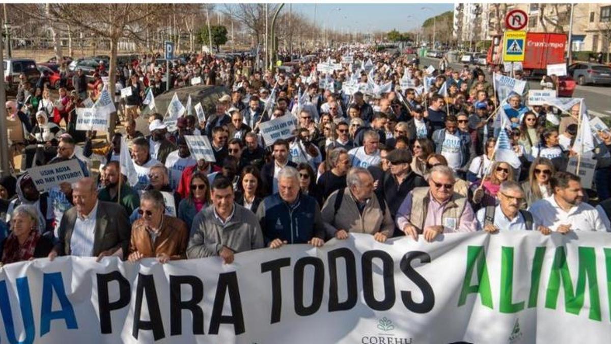Estos son los motivos de las protestas de los agricultores españoles