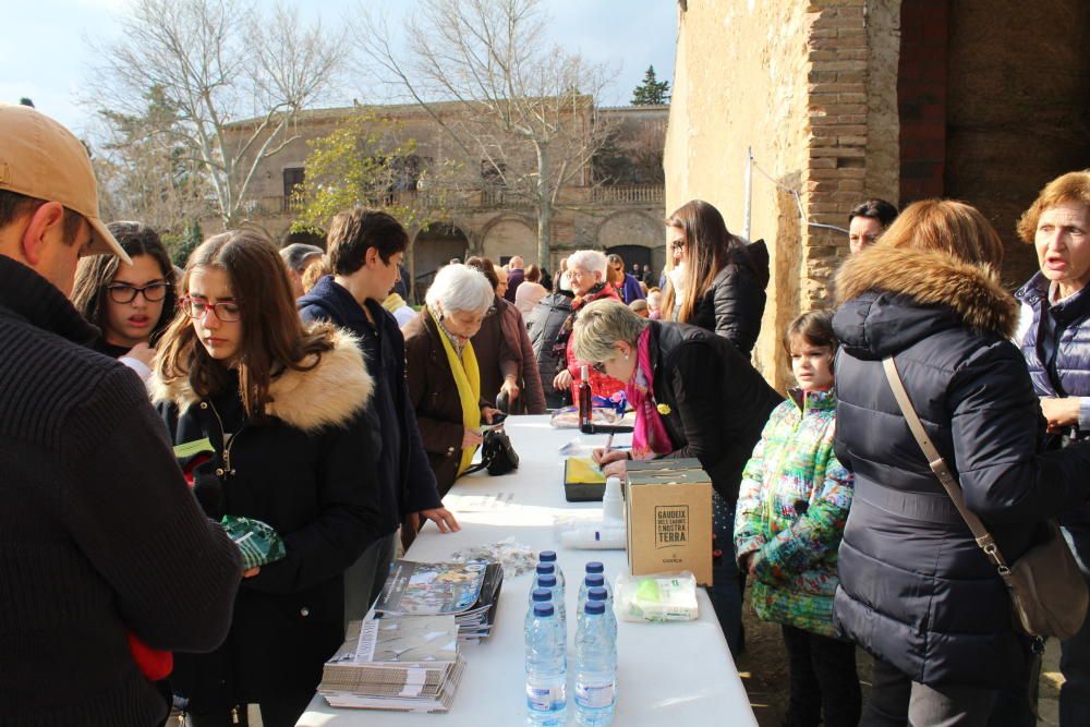 Pletòric Aplec de Sant pau de la Calçada