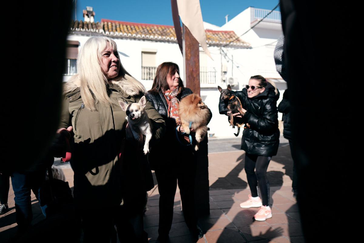 Churriana celebra la bendición de San Antón Churriana celebra la bendición de San Antón