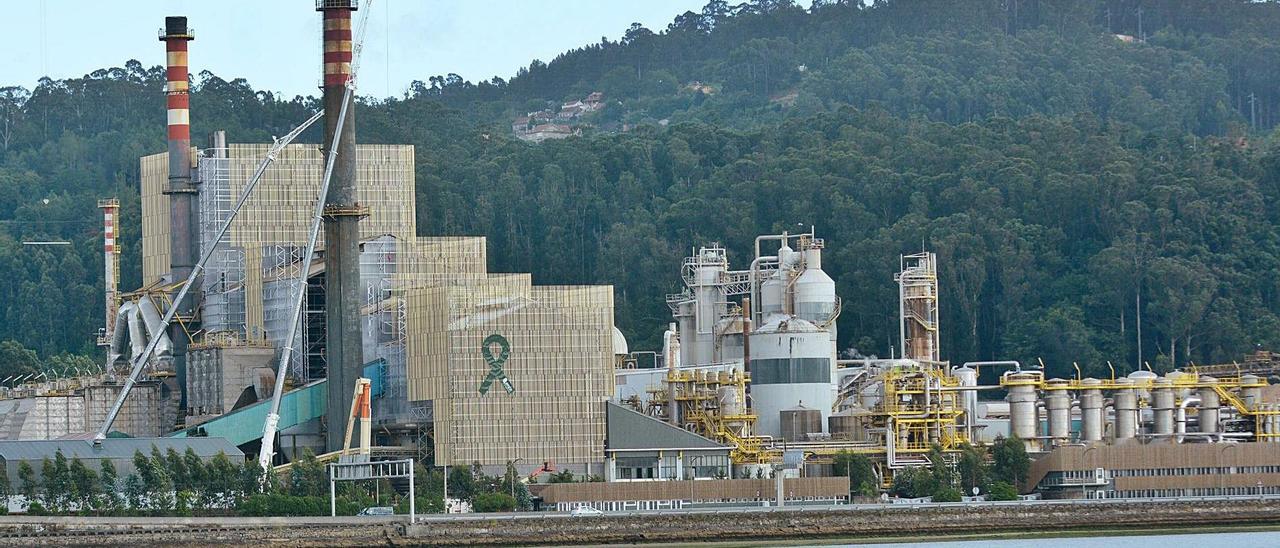 Vista de la fábrica de Ence en los terrenos de Lourizán.