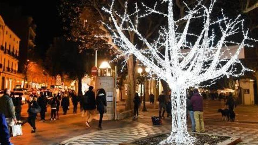 L&#039;arbre que l&#039;any passat era a Crist Rei es posarà a la Bonavista