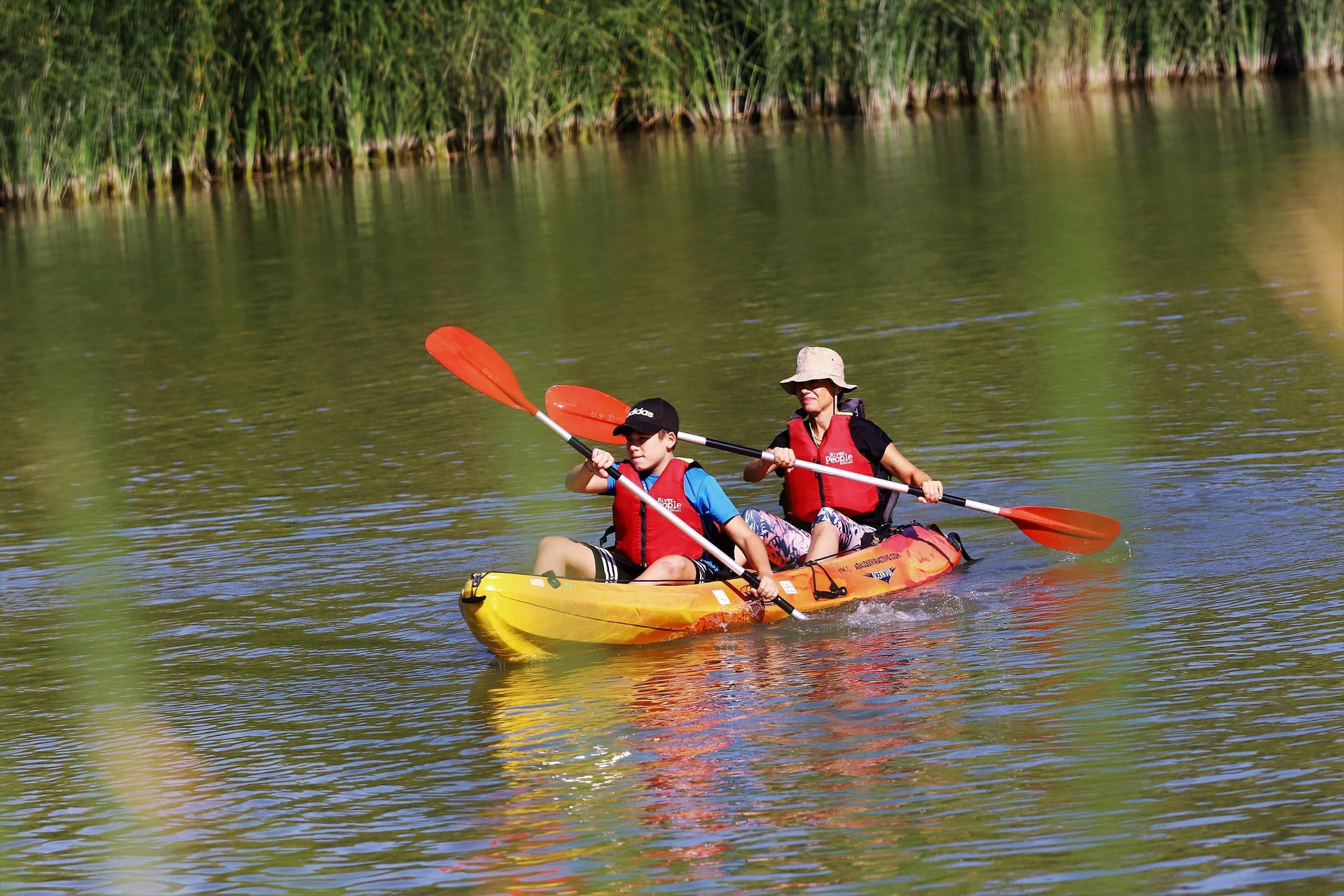 Paseos en kayak por el róio Guadalquivir
