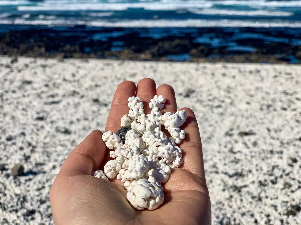 Turismo en Canarias