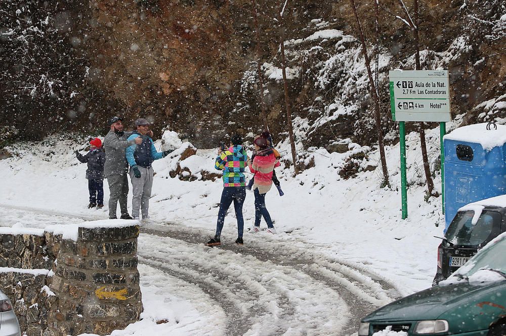 Las primeras nevadas llegan al Puerto del León, en los Montes de Málaga, que se sitúa a 900 metros de altura