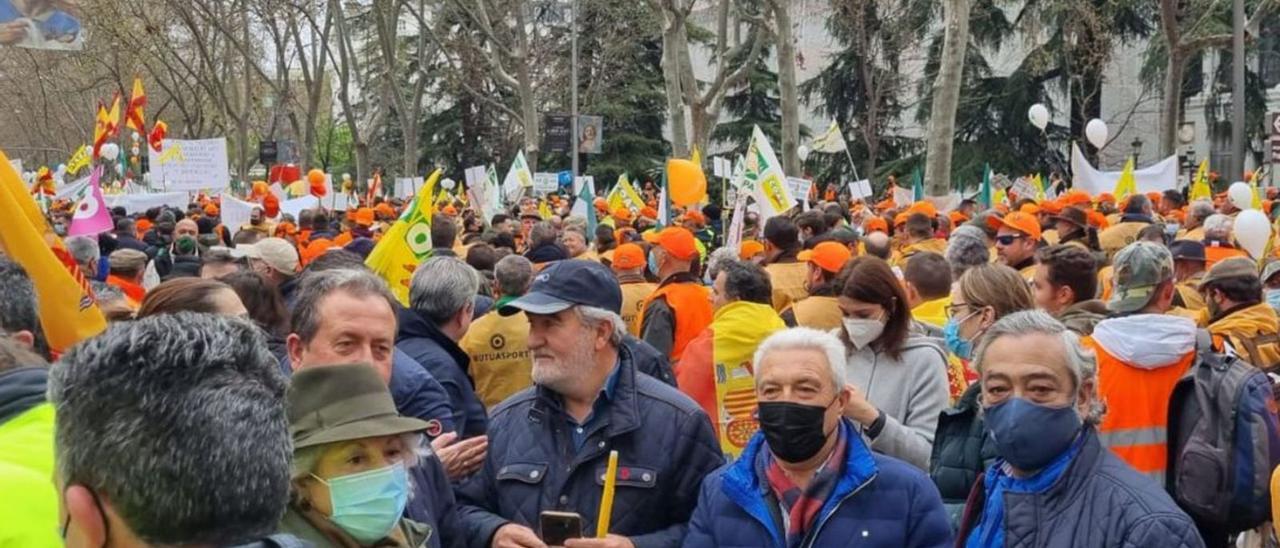 El sector agrario se manifestó hace apenas unos días en Madrid por la crisis de precios. | L.O.