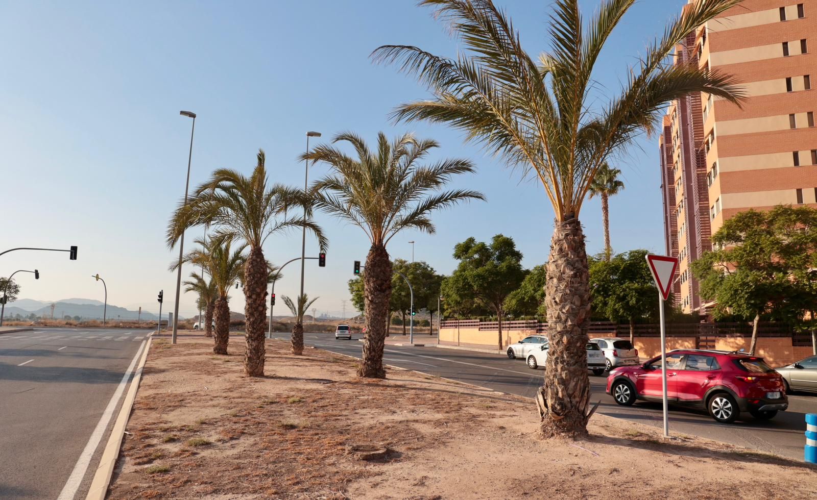 Así están las zonas verdes del PAU 1 en Alicante