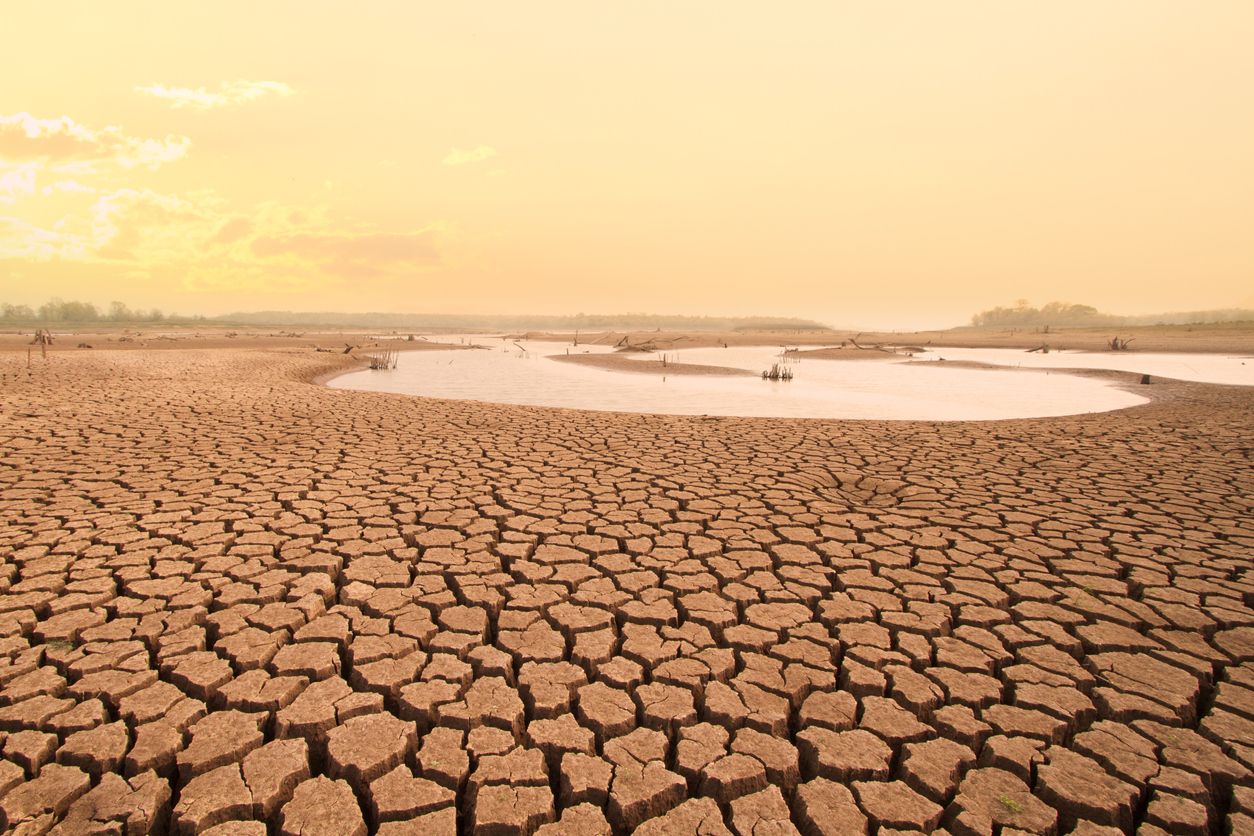 Tragedia climática - Árido paisaje