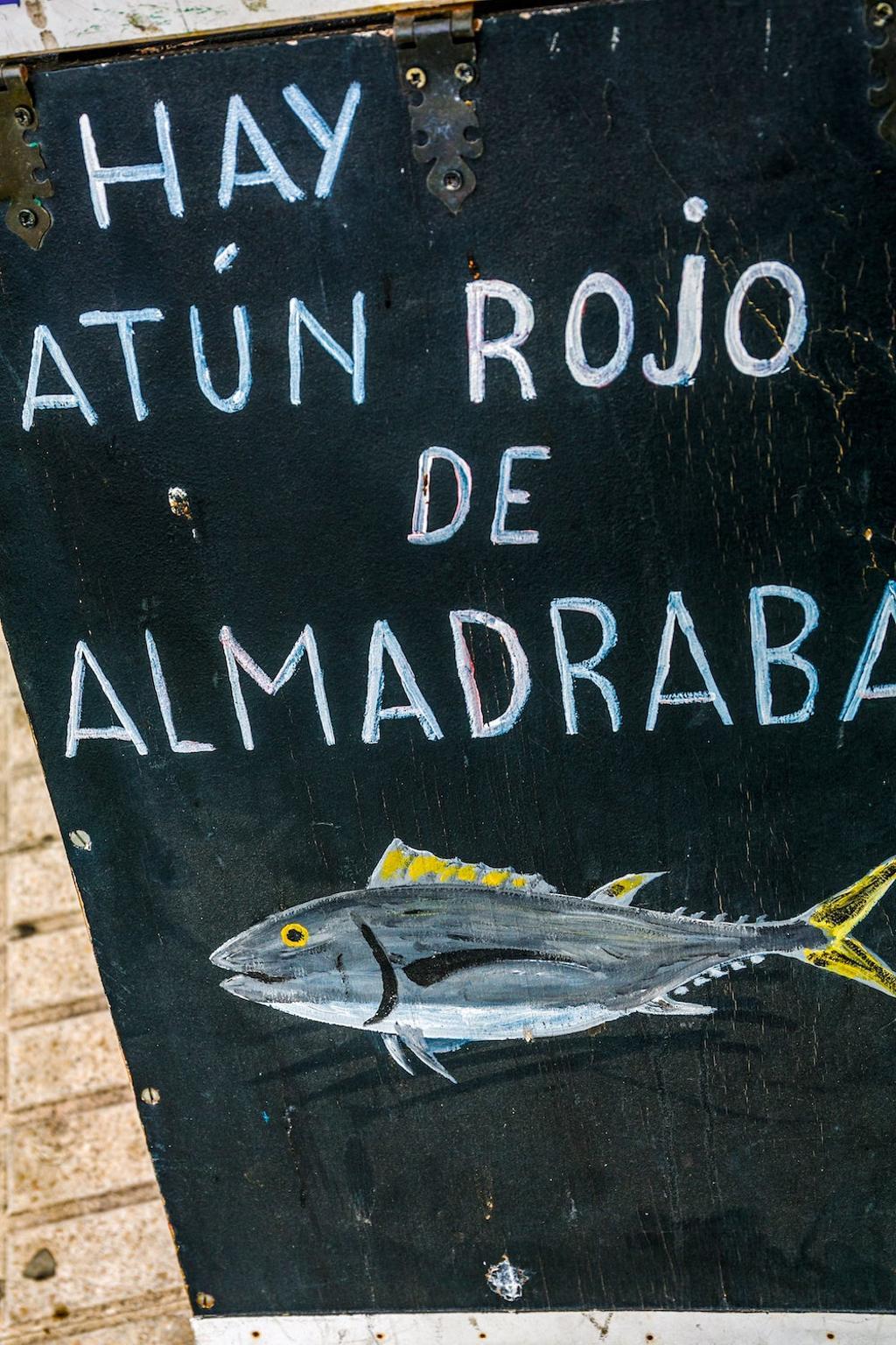 Alegría gaditana, Tarifa, Conil