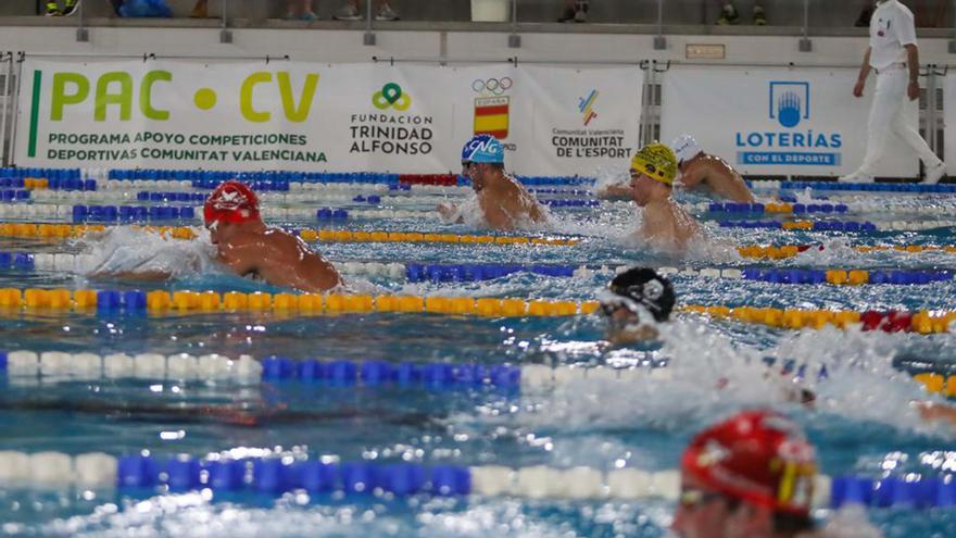 Nueve equipos valencianos disputarán la Copa de España de clubes de Natación