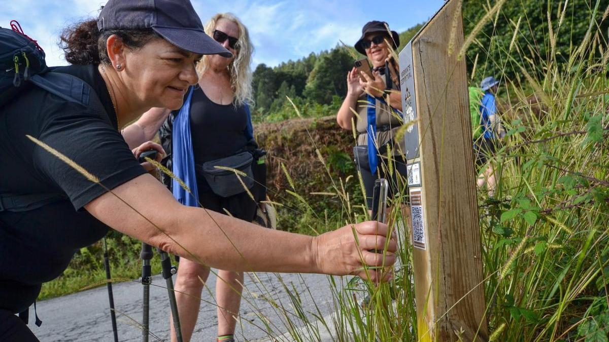 Unas peregrinas pruebas los códigos QR de la Variante Espiritual do Salnés.