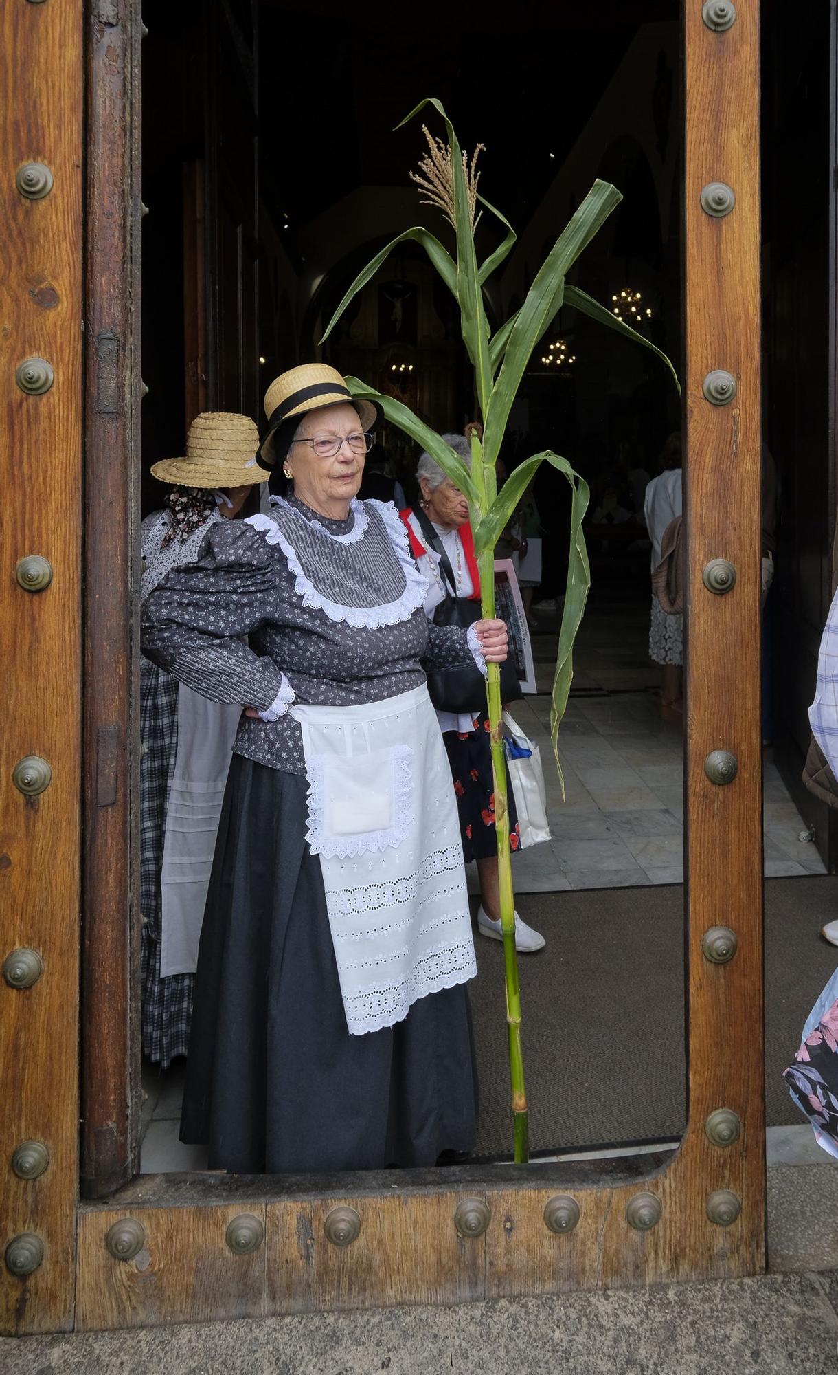 Romería de las Marías en Guía 2023