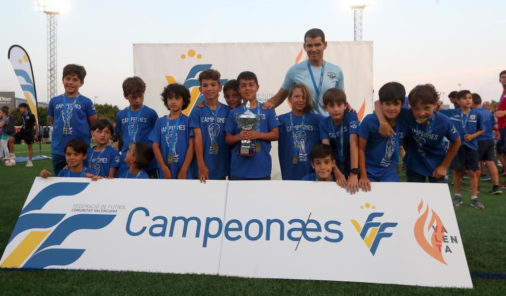 Campeones futbol 8