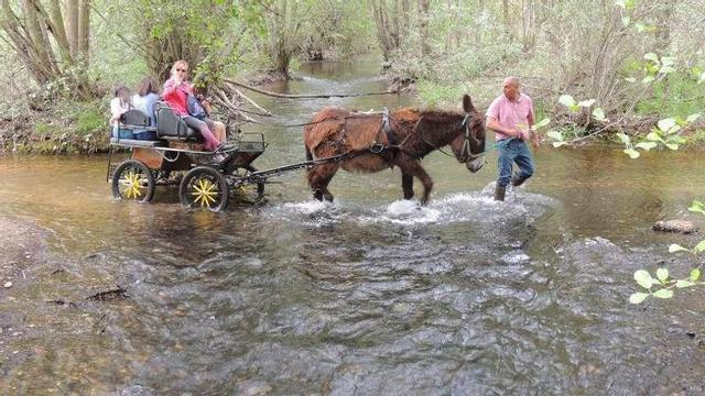 Cruzando el río Tera en un carruaje tirado por un burro.