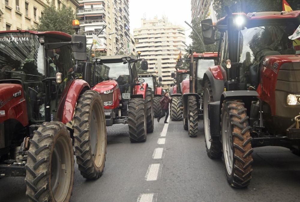 Así ha sido la manifestación de los agricultores en Murcia (II)