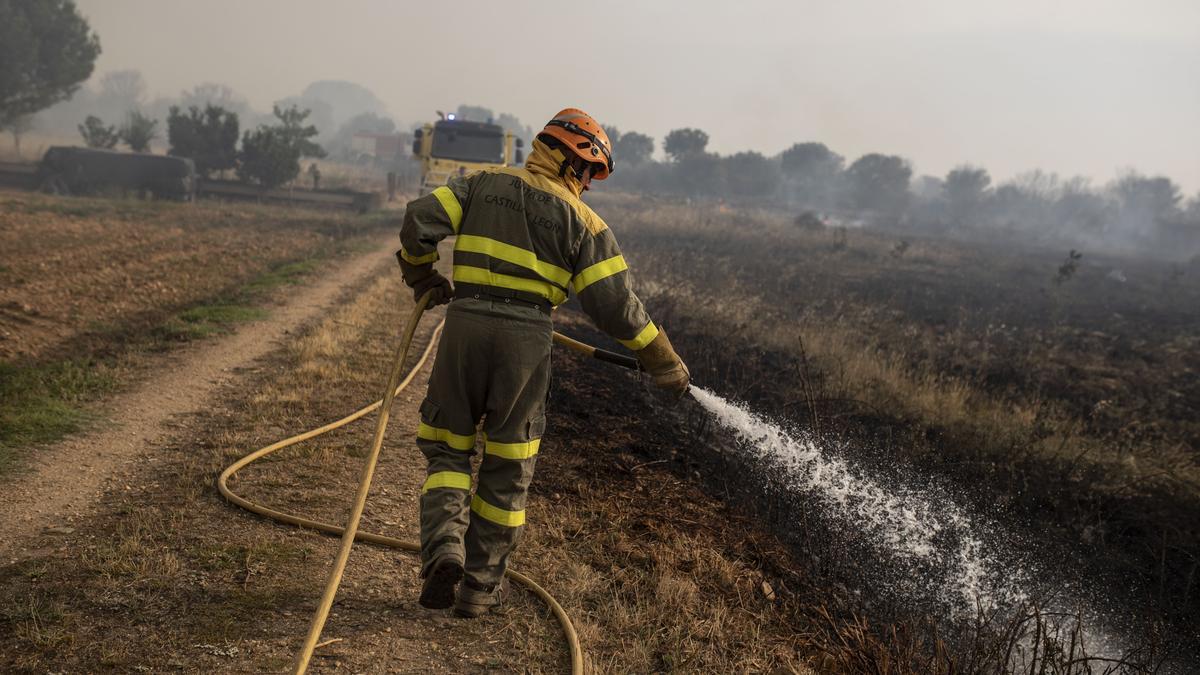 El incendio de la Sierra de la Culebra, en imágenes.