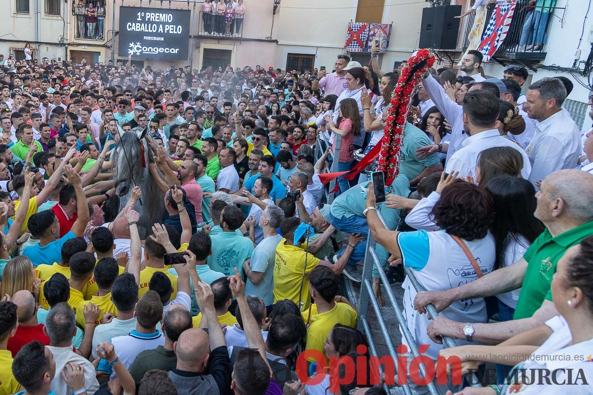 Entrega de premios del concurso morfológico de los Caballos del Vino de Caravaca