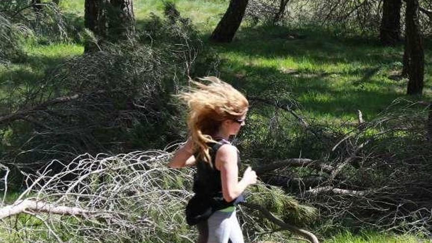 Una corredora hace ejercicio por Valorio, lleno de ramas.