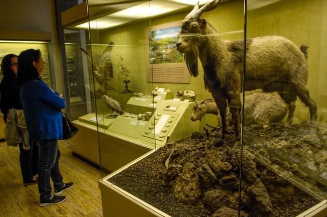 Día Internacional de los Museos en Triana y Vegueta.