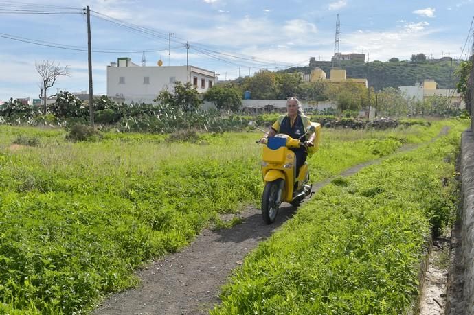 07-12-2018 LAS PALMAS DE GRAN CANARIA. Servicio ...