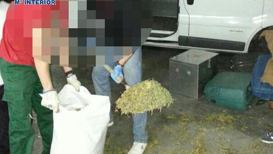 La droga fue hallada por los agentes en sacos, maletas, bolsas y botes de cristal en una cooperativa localizada en Portugos (Granada).