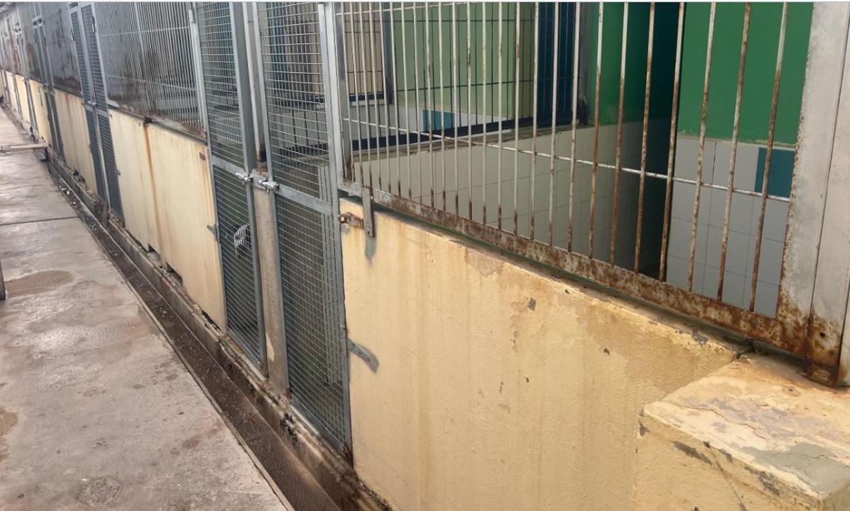 Las imágenes que denuncia Act 4 Animals de sa Coma en Ibiza Las imágenes que denuncia Act 4 Animals de sa Coma en Ibiza