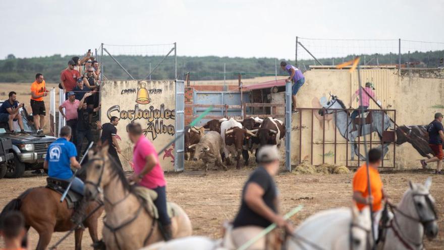 Mucha gente y reses bravas en los espantos de Carbajales