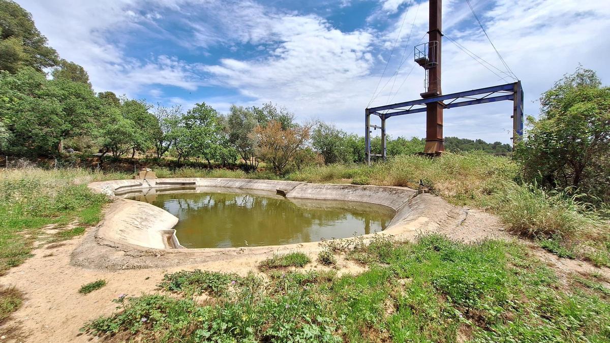 Balsa de agua en el Bú Bup Parc de La Bisbal d'Empordà, que abastece de agua al refugio y que se utiliza también en las terapias caninas.