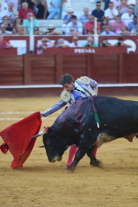 Toros | Novillada de la Feria Taurina de 2018