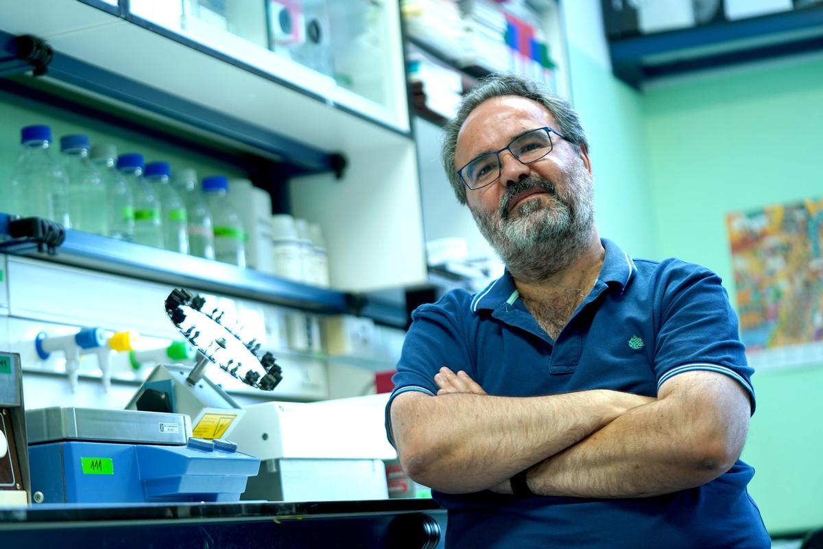 Lluís Montoliu, experto en CRISPR del Centro Nacional de Biotecnología (CNB-CSIC)