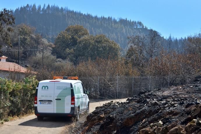 INCENDIO CUMBRE GRAN CANARIA FALLECIDA