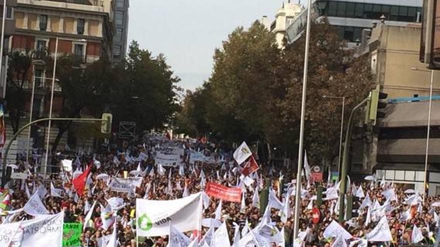 Los obispos piden a los diputados que voten en conciencia la reforma del aborto