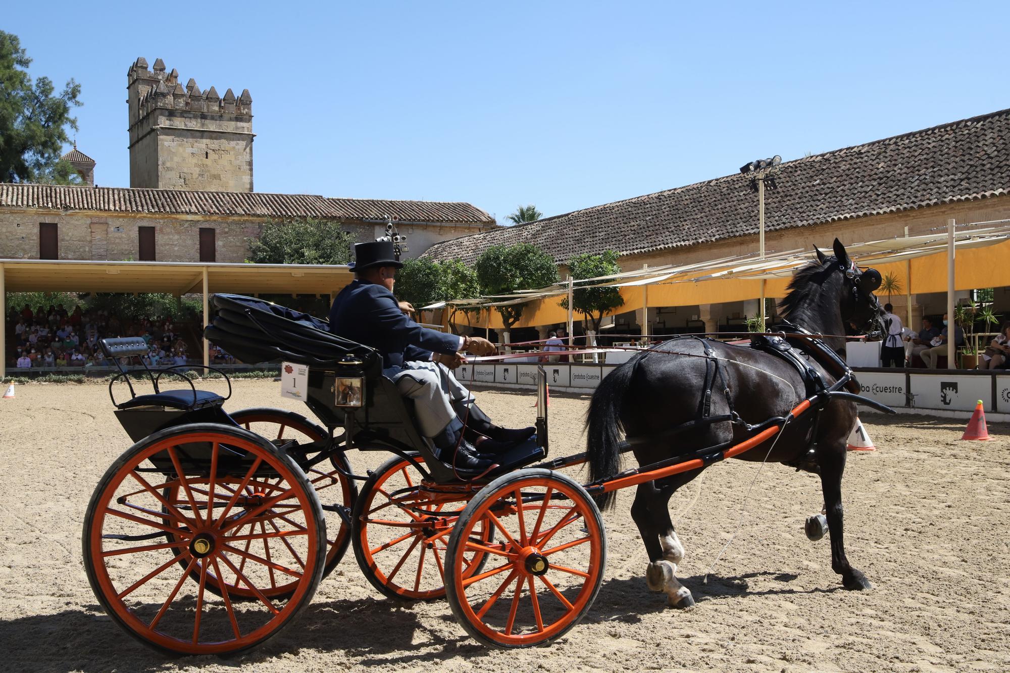 El atalaje de tradición regresa a España