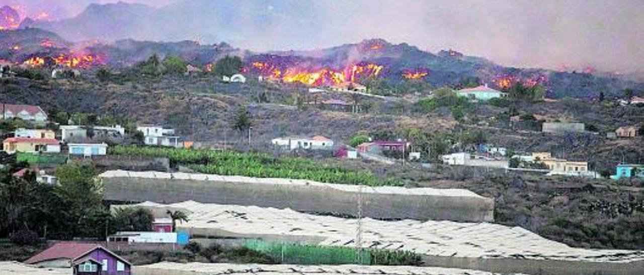 Llegada de la lava a viviendas e invernaderos.