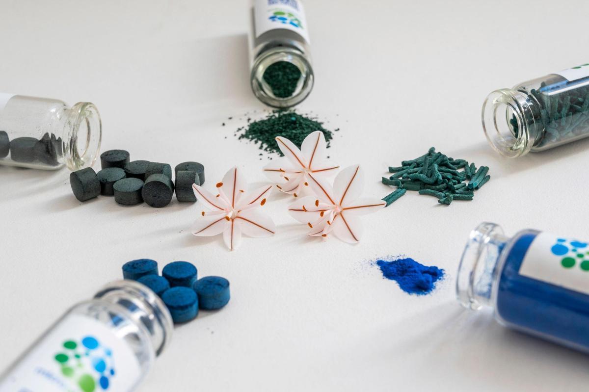 Microalgae Lab comercializa la espirulina en polvo y en cápsulas.
