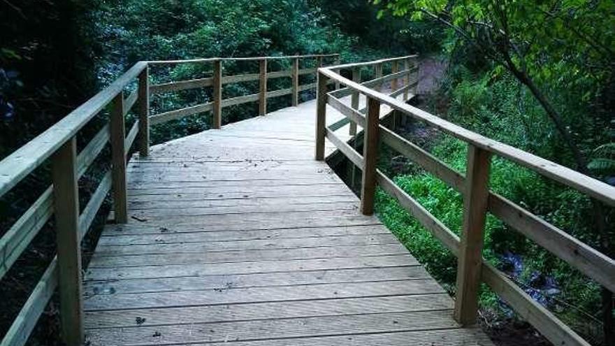 Una de las pasarelas de madera del actual sendero en uso.