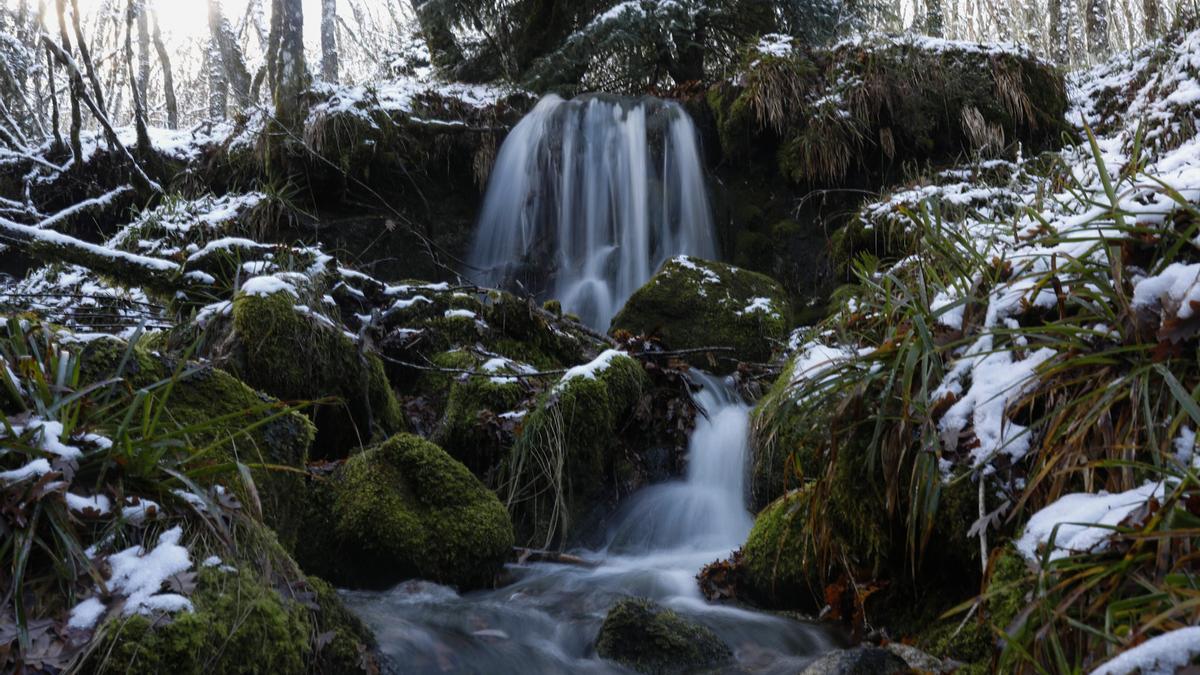 GALERÍA | La nieve deja un paisaje de ensueño en Sanabria