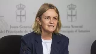 El borrador de la comisión de Cerredo ve responsabilidades personales en los ex consejeros Enrique Fernández, Nieves Roqueñí y Belarmina Díaz