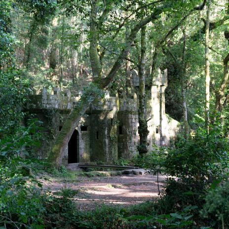 El Bosque Encantado de Aldán: un tesoro natural oculto en Galicia