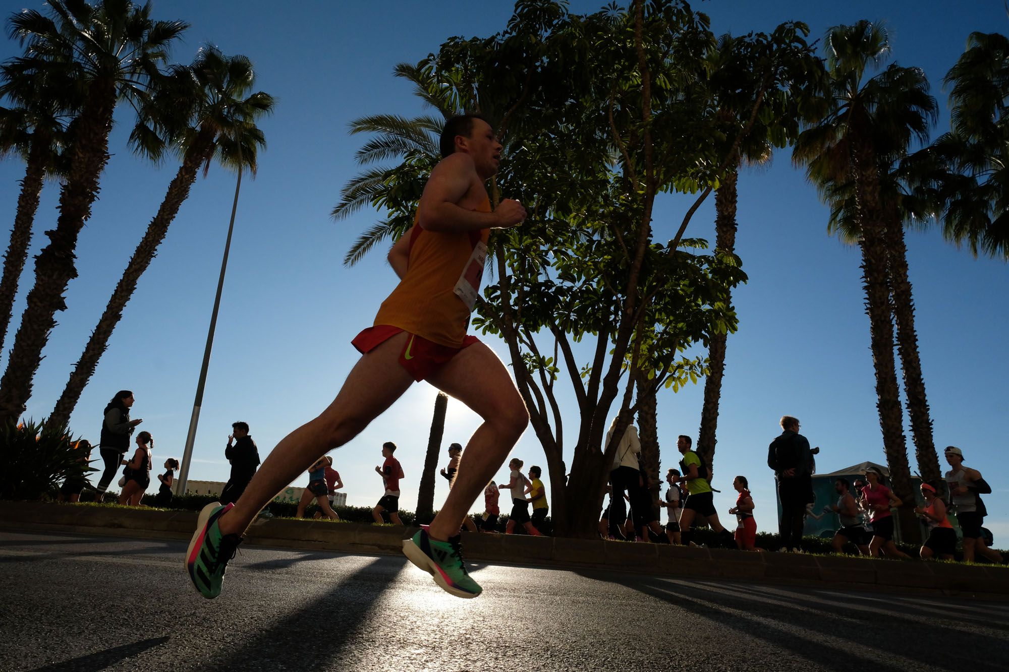 La Maratón de Málaga 2023, en imágenes