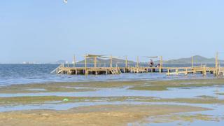 El aumento de temperatura del Mar Menor por la ola de calor amenaza los niveles de oxígeno