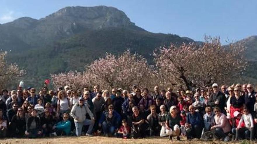 El festival de los almendros en flor de Alcalalí atrae a más de 10.000 visitantes