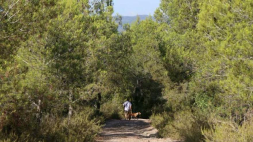 Defensa de El Pinyal a pie de calle