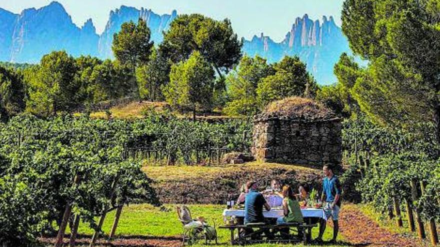 Vinyes del Bages, un lloc per
viure experiències.  | DO PLA DE BAGES