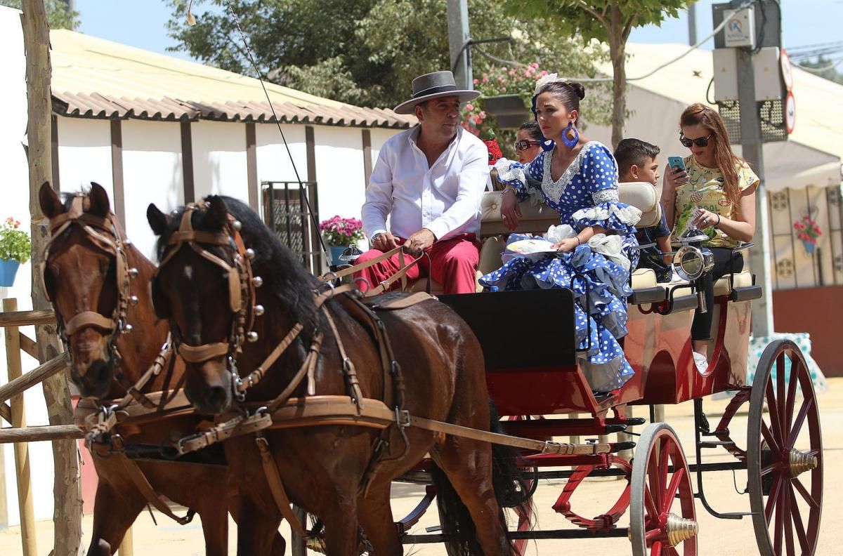 Fotogalería / Miércoles de Feria en Córdoba