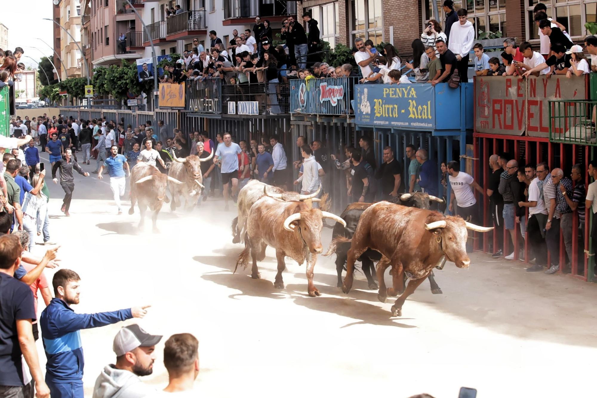 Las imágenes de la séptima jornada de las fiestas de Sant Pasqual del 2023 en Vila-real