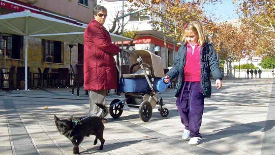 Los dueños de mascotas aceptan el censo de ADN de perros para identificar a los incívicos