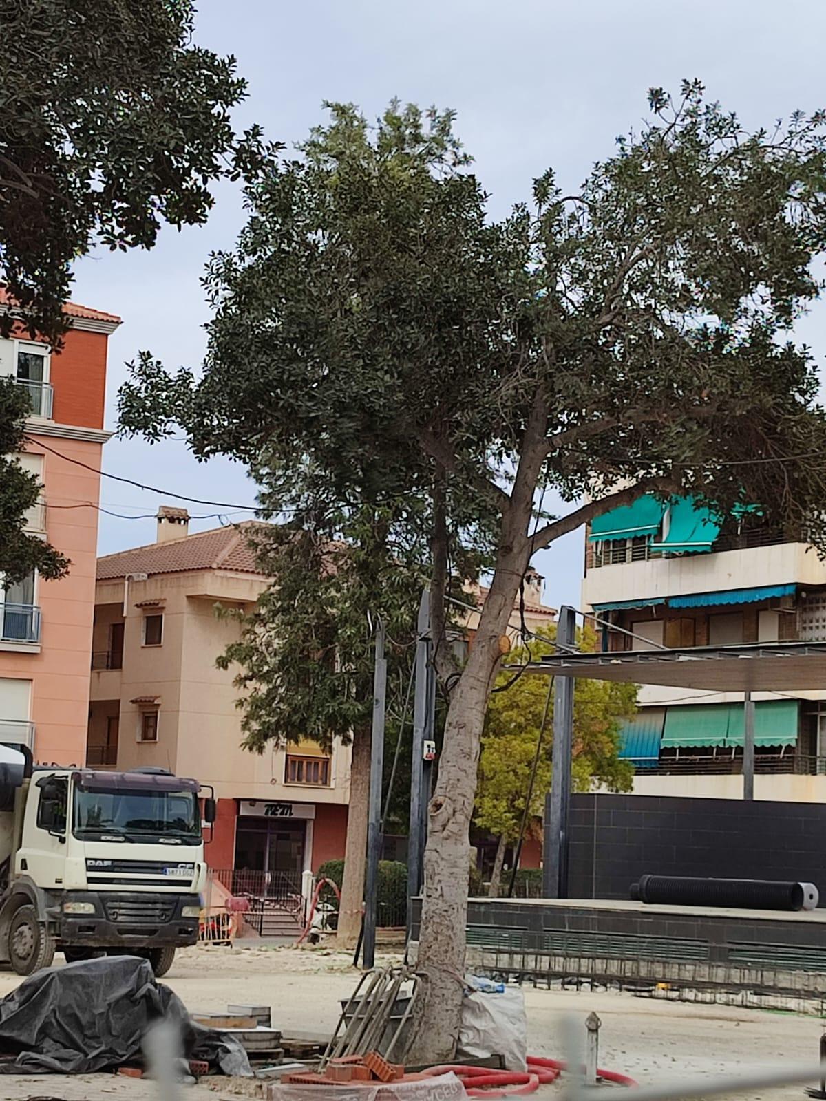 Obras en el parque del Huerto del Cura