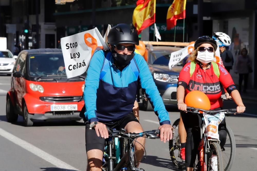 Miles de murcianos protestan en las calles contra la ley Celaá