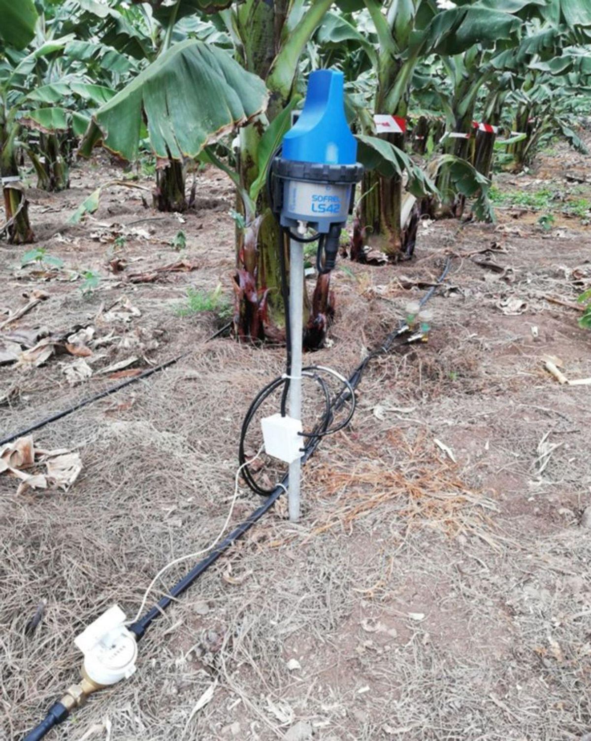 Isla Baja’s Urgent Need for Effective Wastewater Treatment Solutions Isla Baja’s Urgent Need for Effective Wastewater Treatment Solutions