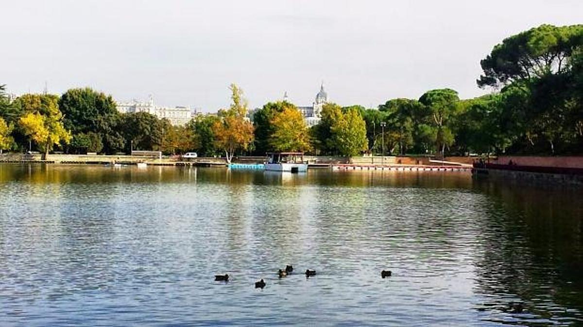 Disfruta de Madrid caminando por esta ruta que recorre la ciudad